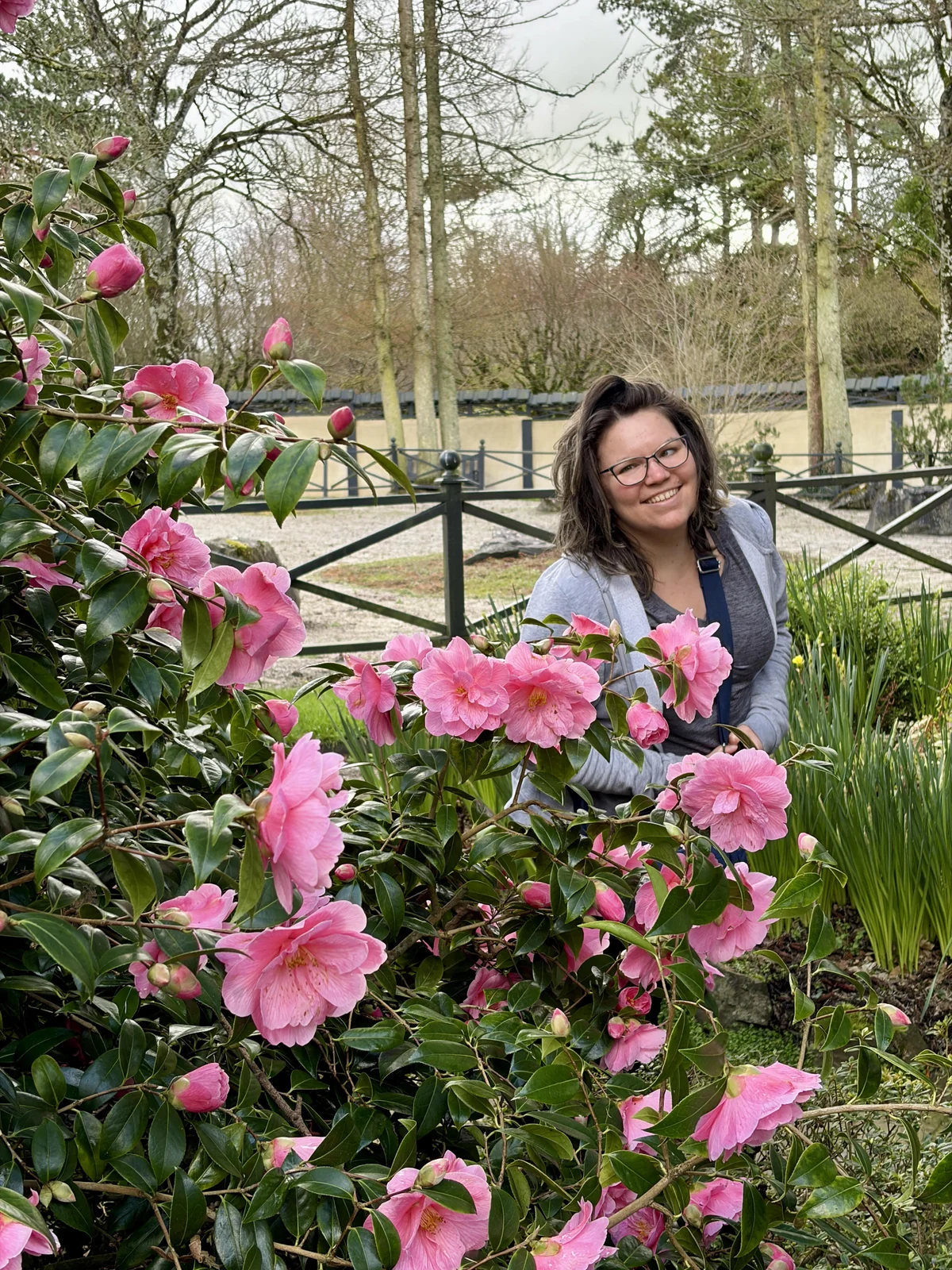 Mind in Layers coach among flowers